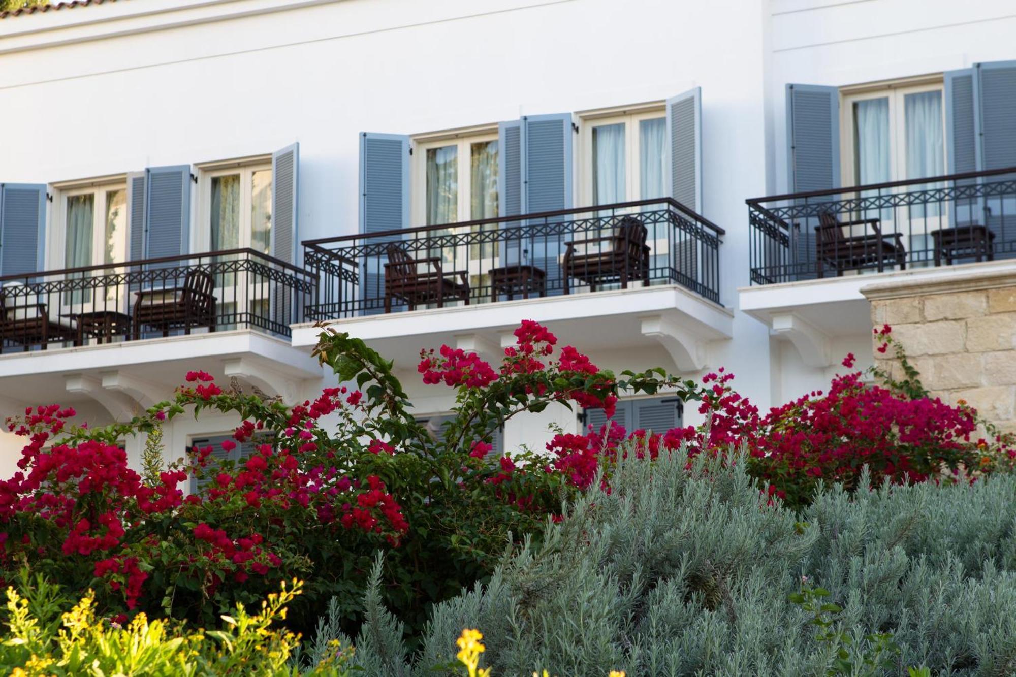 Anassa Otel Polis Oda fotoğraf